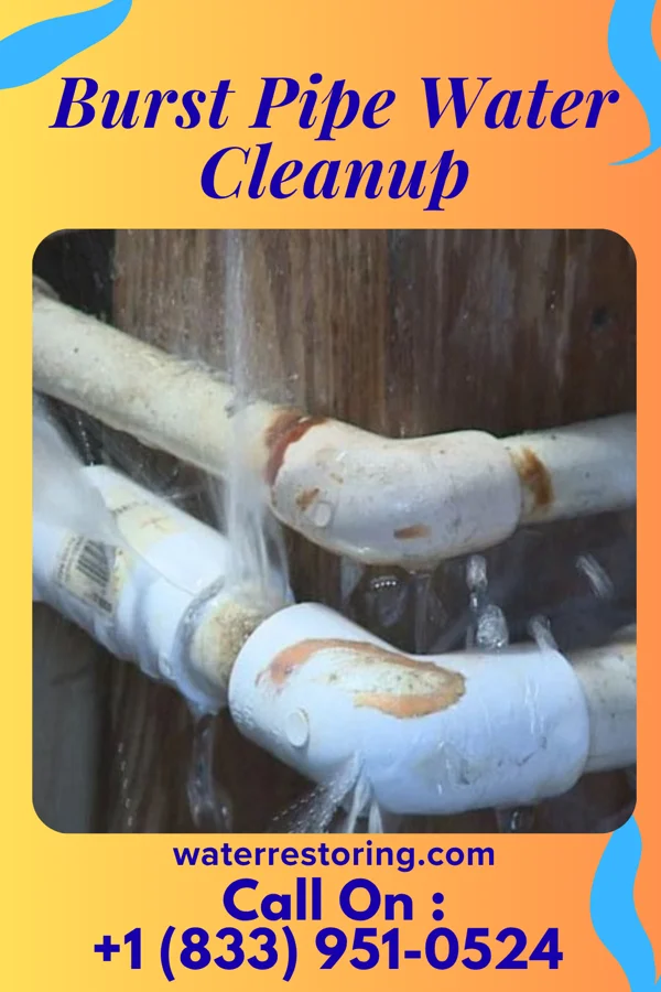 Burst Pipe Water Cleanup in Madeira, OH
