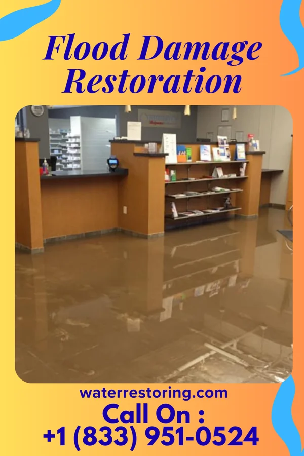 Flood Damage Restoration in Madeira, OH