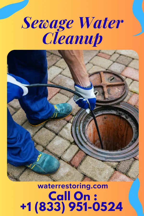 Sewage Water Cleanup in Madeira, OH